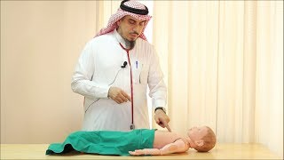 Pediatric Cardiovascular Assessment Physical Examination  Dr Zaher Faisal Zaher [upl. by Hibbert690]