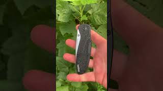 Kershaw Blur 1670 [upl. by Savory]