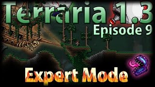 Terraria 13 Expert Mode  Episode 9  My Luck Is Back [upl. by Chader]