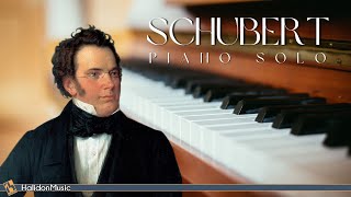 Schubert  Piano Solo Vadim Chaimovich [upl. by Ecirtnahc]