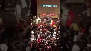 TURNSTILE LIVE IN CONCERT turnstile shorts youtubeshorts [upl. by Marius133]