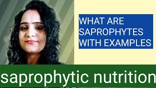 saprophytes with examples class 10 saprophytic nutritionsaprophytic nutrition in mushroom [upl. by Daveda]