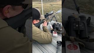 22 ARC 18” Proof barrel shooting 88 ELDM’s at 515 yards shorts ar15 tactical hunting gun [upl. by Ttocserp734]