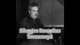 Silvestre Revueltas Sensemayá Tuba excerpts [upl. by Milon]