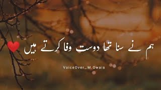 Hum Nay Suna Tha Dost Wafa Karte Hain  Sad Shero Shayari Painfull Status [upl. by Charisse700]