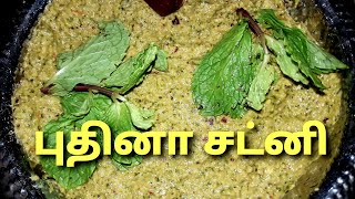 Puthina satni in tamil  Green Chutney recipe  satni variety in tamil  Chettinad Random Samayal [upl. by Tiffanie]