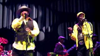 Kanda Bongo Man live at Queen Elisabeth Hall London 2006 Desk Audio pt 5 [upl. by Remlap88]