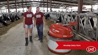 Hinchley’s Dairy Farm – Lely Life Story [upl. by Naivatco]