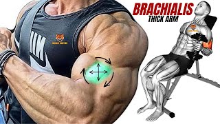 13 BEST BRACHIALIS WORKOUT AT GYM TO GET BIGGER ARMS FAST [upl. by Jacinthe764]