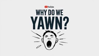 Why Do We Yawn [upl. by Kohler]