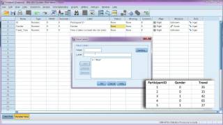 Enter data and define variables in SPSS [upl. by Claudian]