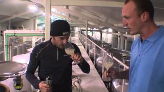 VTV Episode 6 of 7 quotFermentationquot wine making in Marlborough New Zealand [upl. by Aissej]