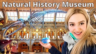 Natural History Museum  London [upl. by Akibma]