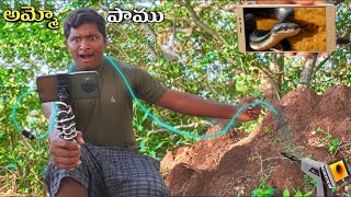 Entering Endoscopic 📸 Camera Into Snake🐍 House 🤯 shocking reaction [upl. by Ahsitruc]