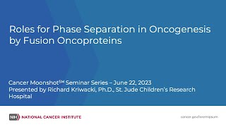 Roles for Phase Separation in Oncogenesis by Fusion Oncoproteins [upl. by Yedok]