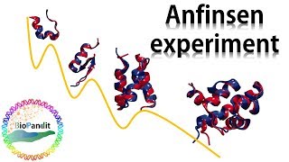 Anfinsen Experiment Protein Sequence contains all the information necessary for folding [upl. by Treb]