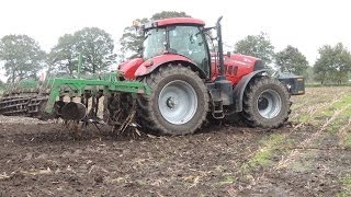 Maisstoppel einarbeiten mit CASE IH Power [upl. by Yun]