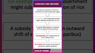 How to Analyse Subsidies amp Consumer Welfare  60 Second Economics  ALevel amp IB [upl. by Horick920]