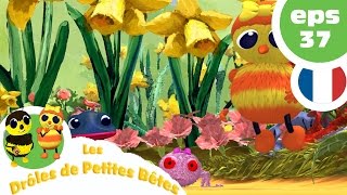 DRÔLES DE PETITES BÊTES  EP37  Les caprices dune fée [upl. by Lianna]