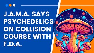 From Cannabis to Psychedelics FDAs Double Standard [upl. by Lav]