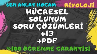 HÜCRESEL SOLUNUM SORU ÇÖZÜMLERİ 13  FERMANTASYONOKSİJENLİ SOLUNUM SORU ÇÖZÜMLERİ  PDF ✅ [upl. by Terrag]