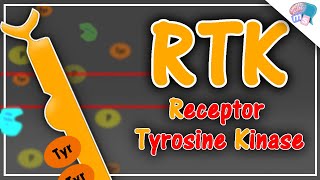 How does  Receptor Tyrosine Kinase  work [upl. by Thierry31]