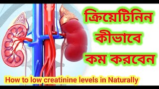 ক্রিয়েটিনিন কমানোর উপায়  How to low creatinine levels in naturally  ক্রিয়েটিনিন creatinine [upl. by Melmon]