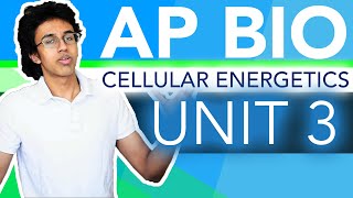 AP Biology Unit 3 Crash Course Cellular Energetics [upl. by Agnew]