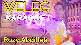 Weleg  Rozy Abdillah  Karaoke  Dj Santuy [upl. by Magna]