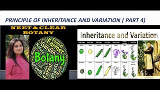 PRINCIPLE OF INHERITANCE TWO GENE INTERACTION COMPLEMENTARY DUPLICATE AND EPISTASIS PART 4 [upl. by Portwine]