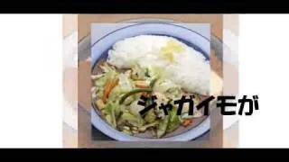 バクザン もうやんカレーの歌 PV [upl. by Ahsemak358]