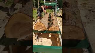 Milling two logs at the SAME TIME with the woodlandmills HM136MAX sawmill DiscoverTheWoodland [upl. by Leinahtam871]