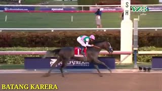 ARROGATE VS CALIFORNIA CHROME  2019 FASTEST ARABIAN HORSE [upl. by Noseyt]