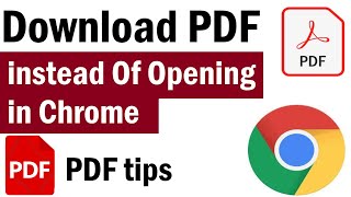 How To Set Opening PDF files in Google Chrome without Downloading [upl. by Ecnadnak75]