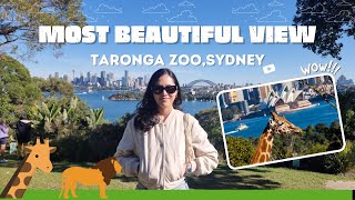 Taronga zoo most beautiful view in the world 2024 sydney zoo [upl. by Dusza42]