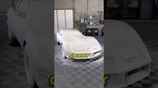 Incredible Corvette Cleaning Transform 😱 WD Detailing [upl. by Ailima121]