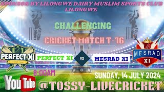 Live  PERFECT XI VS MESRAD XI  T16 OVER LILONGWE DAIRY LEAGUE 2024tossylivecricket [upl. by Nivled]