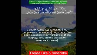 Коран Сура Таха  2076  Чтение Корана с русским переводом Quran Translation in Russian [upl. by Nwahsed]