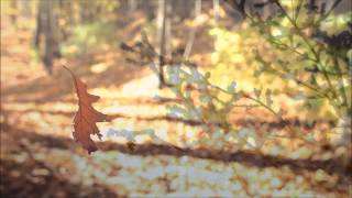 Autumn Leaves  Nat King Cole HD HQ Audio with lyrics [upl. by Jule]