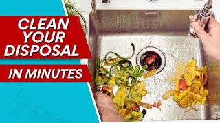 How to Properly Clean Your Kitchen Garbage Disposal Instantly [upl. by Elspeth]