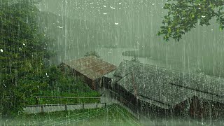 Son de Pluie Pour Calmer Lesprit et Dormir Profondément en 2 Minutes  Pluie dans Forêt Brumeuse [upl. by Sharla]