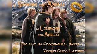 Il Signore degli Anelli Audiolibro  La Compagnia dellAnello  LIBRO I  Capitolo 3  Parte 1 [upl. by Nady341]