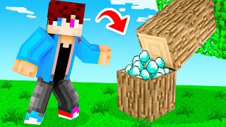 Ik Maakte Een GEHEIME DIAMOND KLUIS In MINECRAFT [upl. by Hsot]