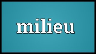 Milieu Meaning [upl. by Gagliano]