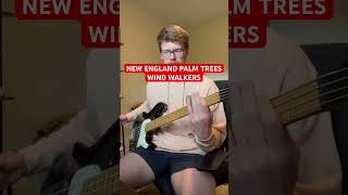 🎸 NEW ENGLAND PALM TREES  WIND WALKERS BASS COVER poppunk bassguitar [upl. by Nileuqaj]