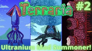 Speedrunning PreHardmode Terraria Ultranium Mod Summoner Playthrough 2 [upl. by Suu]