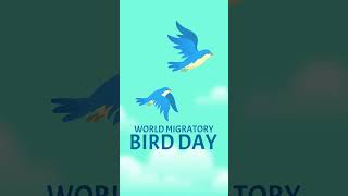 Migratory Birds  Nature  World Migratory Bird Day birds [upl. by Assilla878]