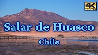 Turismo en SALAR DE HUACO – CHILE ¿Como llegar 4K [upl. by Ellett]