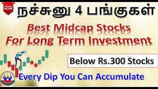 நச்சுனு 4 பங்குகள் Best Midcap Stocks For Long Term Investment Below Rs300 stocks SavingsinTamil [upl. by Zorana]