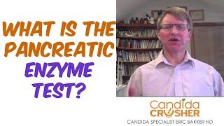 What Is The Pancreatic Enzyme Test [upl. by Idolla]